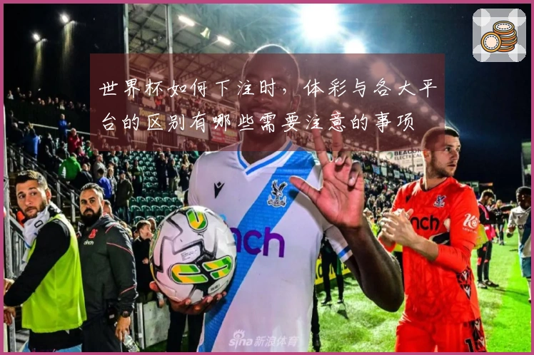世界杯如何下注时，体彩与各大平台的区别有哪些需要注意的事项